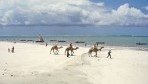 Neptune Paradise Beach 06-part.jpg