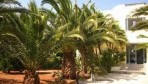 Elli apartman 01-bejarat