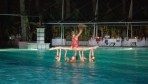 Delphin Diva 02-medence2-