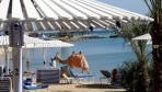 Hilton Resort Front 07-part.jpg