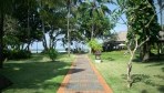 SANURBEACH07-kert