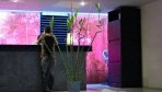 Oasis Kuta Bali 03-recepcio