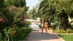 ClubGoldenBeach53-kert