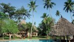 Neptune Palm Beach 02-medence9-