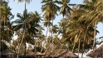 Neptune Paradise Beach 06-kert
