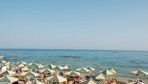 CactusBeach06-part.jpg