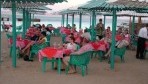 Minamark Beach Resort 06-bar2.jpg