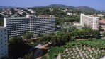 SolMirlosTordos01