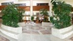 sentidojacaranda04-hall.jpg
