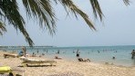 CaribbeanWorldSoma12-part2.jpg