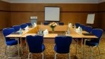 Radisson Blu 07-konferencia.jpg