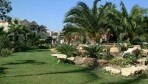 PalmBeach14-kert.jpg