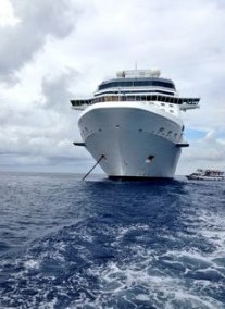 Celebrity Silhouette