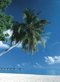 Maldív-szigetek-Baa Atoll szállások